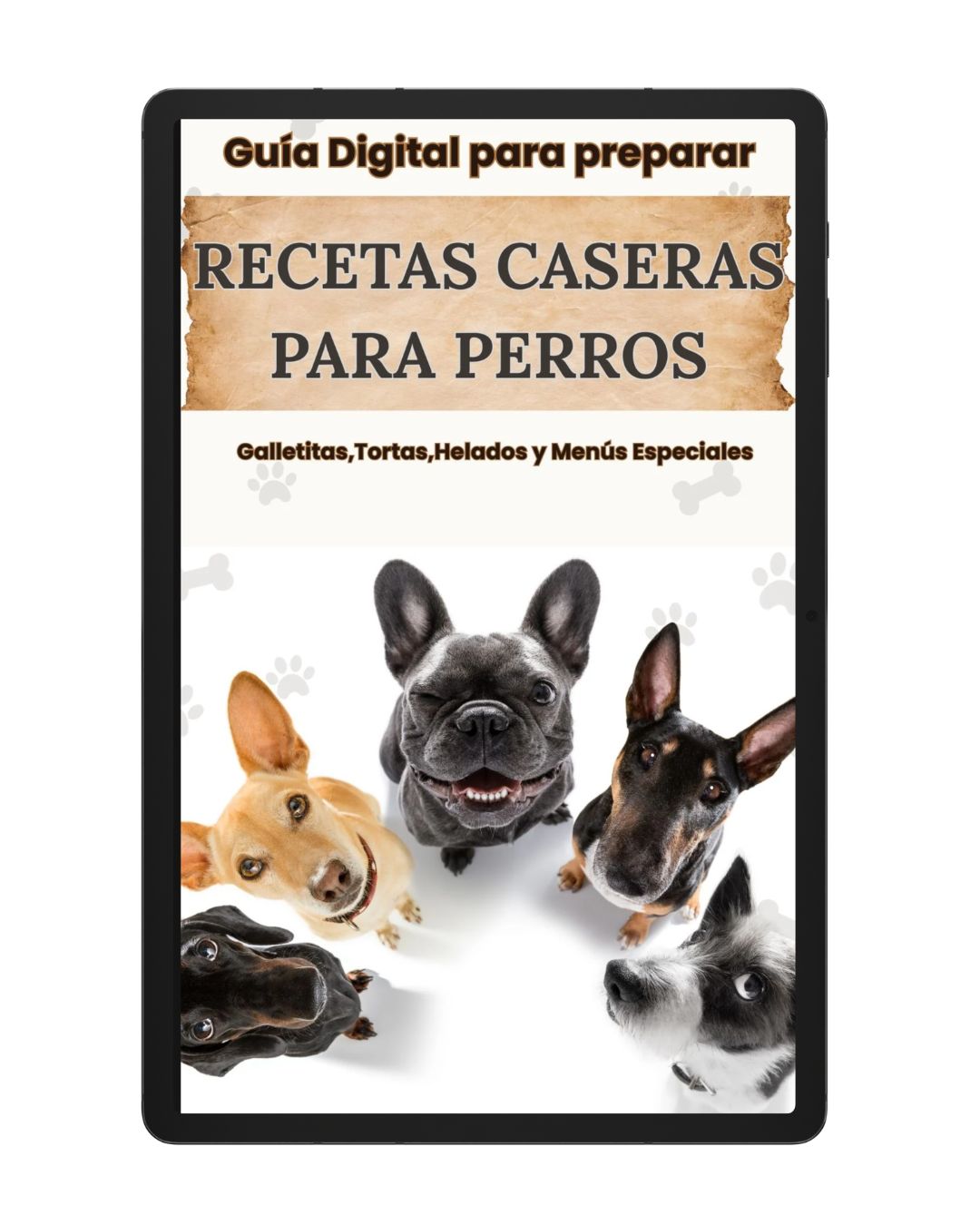 El Gran Libro de Cocina para Perros